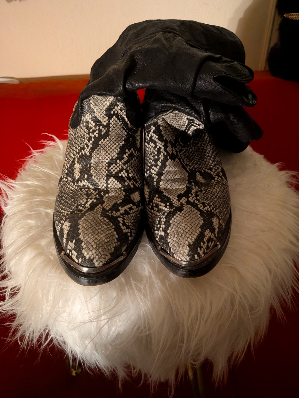 Dingo Black and White Snakeskin Heeled Boots